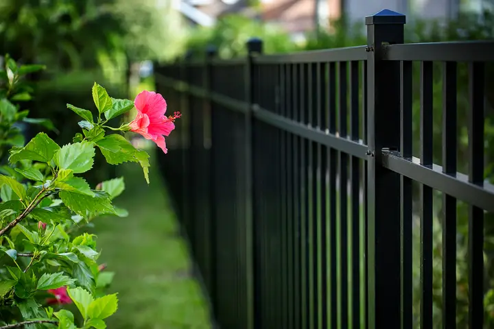 Everything You Need to Know About Aluminum Fencing